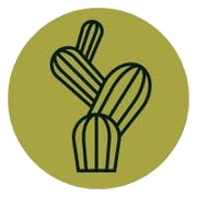Cactus Group